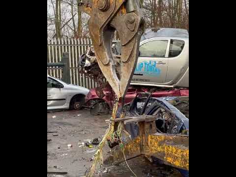 A Wild Family Time Out In Essex A Wild Family Time Out In Essex